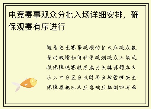 电竞赛事观众分批入场详细安排，确保观赛有序进行